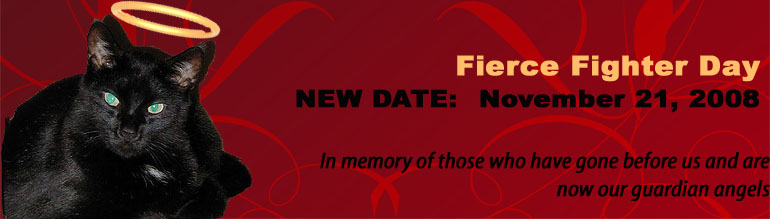 Fierce Fighter Day November 21 header Fierce Fighter Day November 21 header