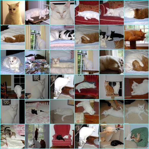 Mrs. Lilly White Mosaic small