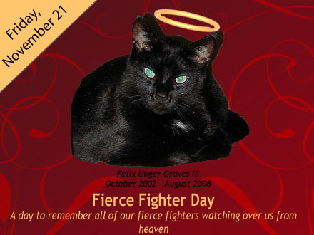 Fierce Fighter Day Fierce Fighter Day