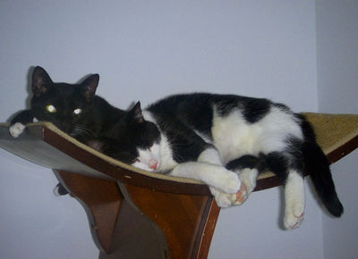 Brothers Brothers