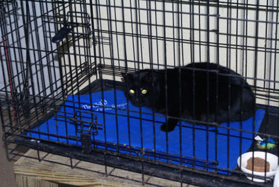 Molly upon arrival
