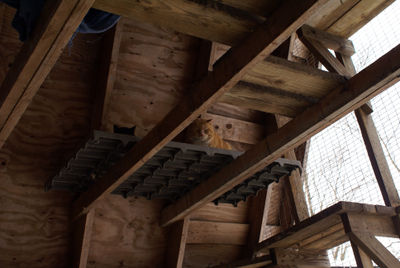 Sanctuary screened-in porch