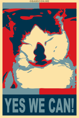 Yes We Can