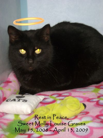 Rest in Peace Sweet Molly Louise copy Rest in Peace Sweet Molly Louise copy