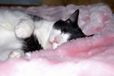 Jimmy_Sleepy Boy 3 Jimmy_Sleepy Boy 3