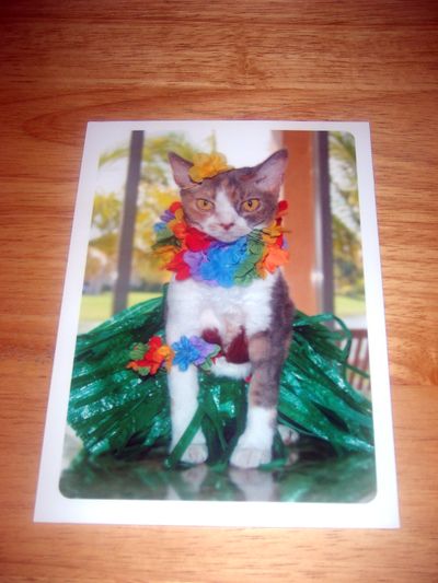 A Card for mazie grace
