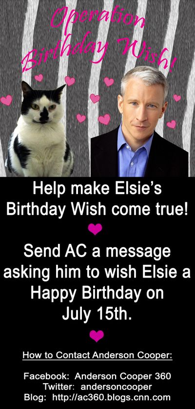 Operation Birthday Wish_Ad copy