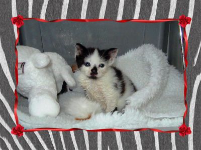 Day 1 for Baby Elsie_Framed copy