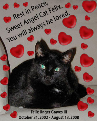 Rest_in_peace_sweet_felix_2