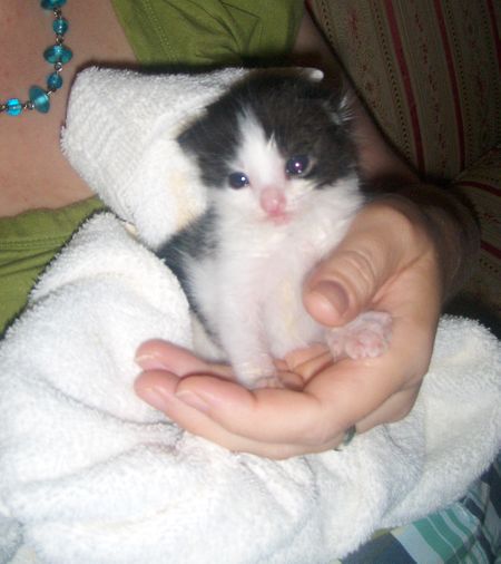 Sweet Baby Boy_Small