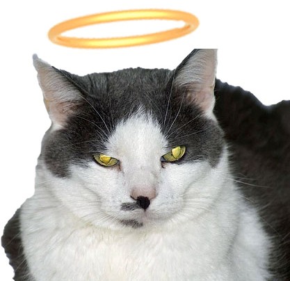 Sweet Lucy Angel Sweet Lucy Angel