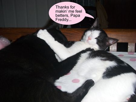Freddy and Joey 2 copy
