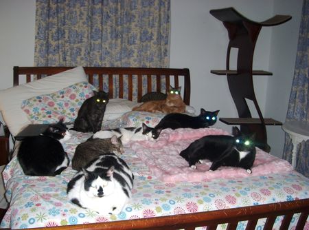 Where will mommy sleep
