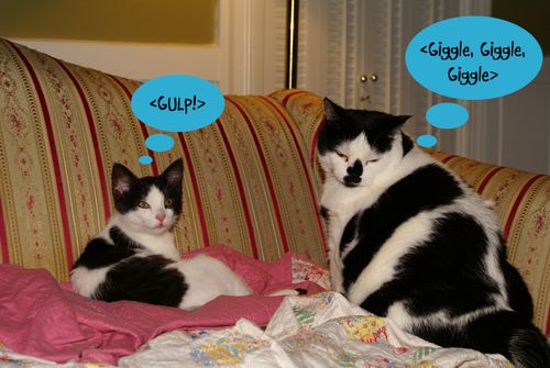 Gulp_small_edited-2