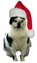 Santa Elsie