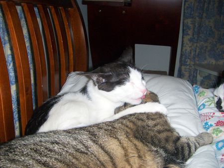 Joey lovin' on Mazie Grace 2
