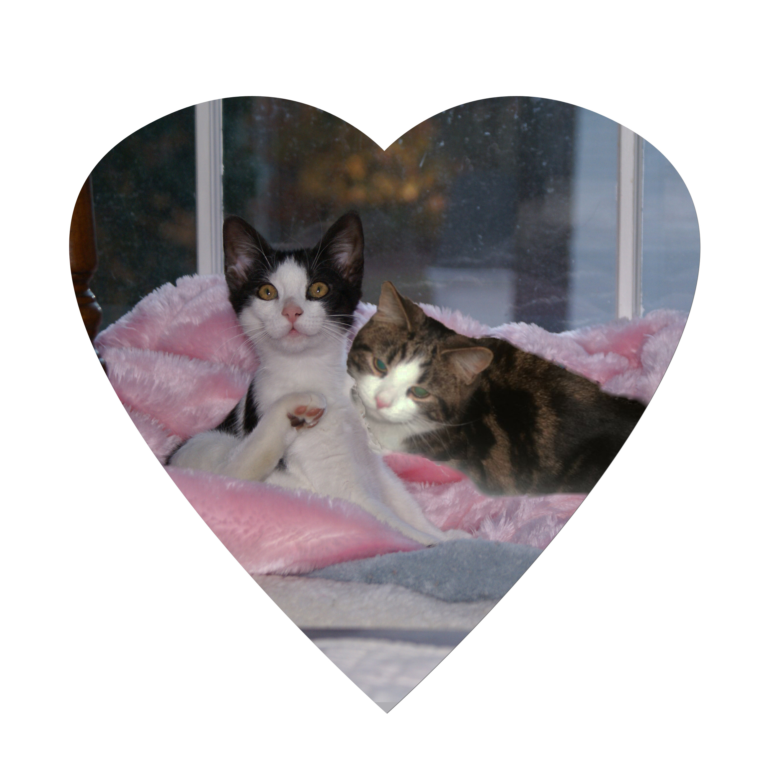 Joey and Freya_Heart Frame copy