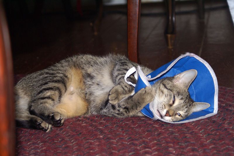 Take this thing off of me_small