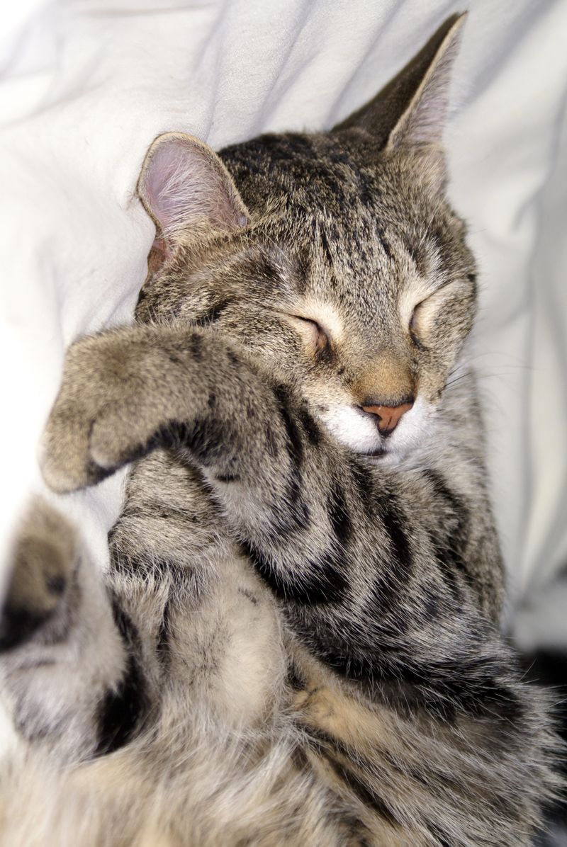 Mazie can see in her dreams_Small