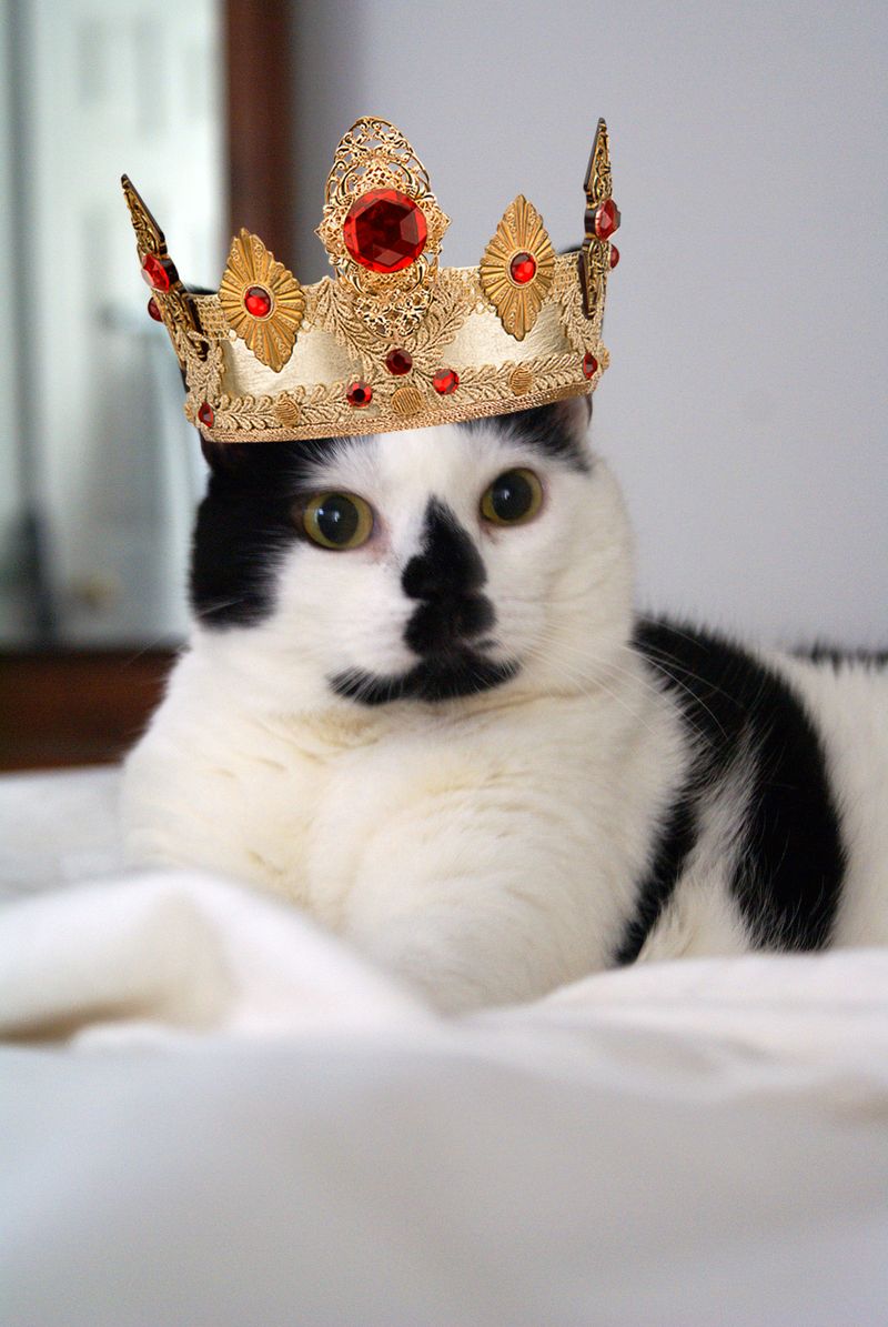 Queen Elsie copy