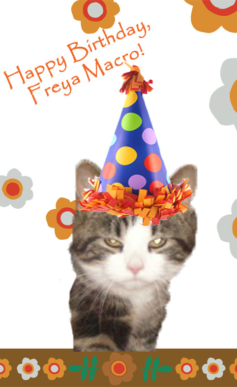 Happy Birthday Freya copy