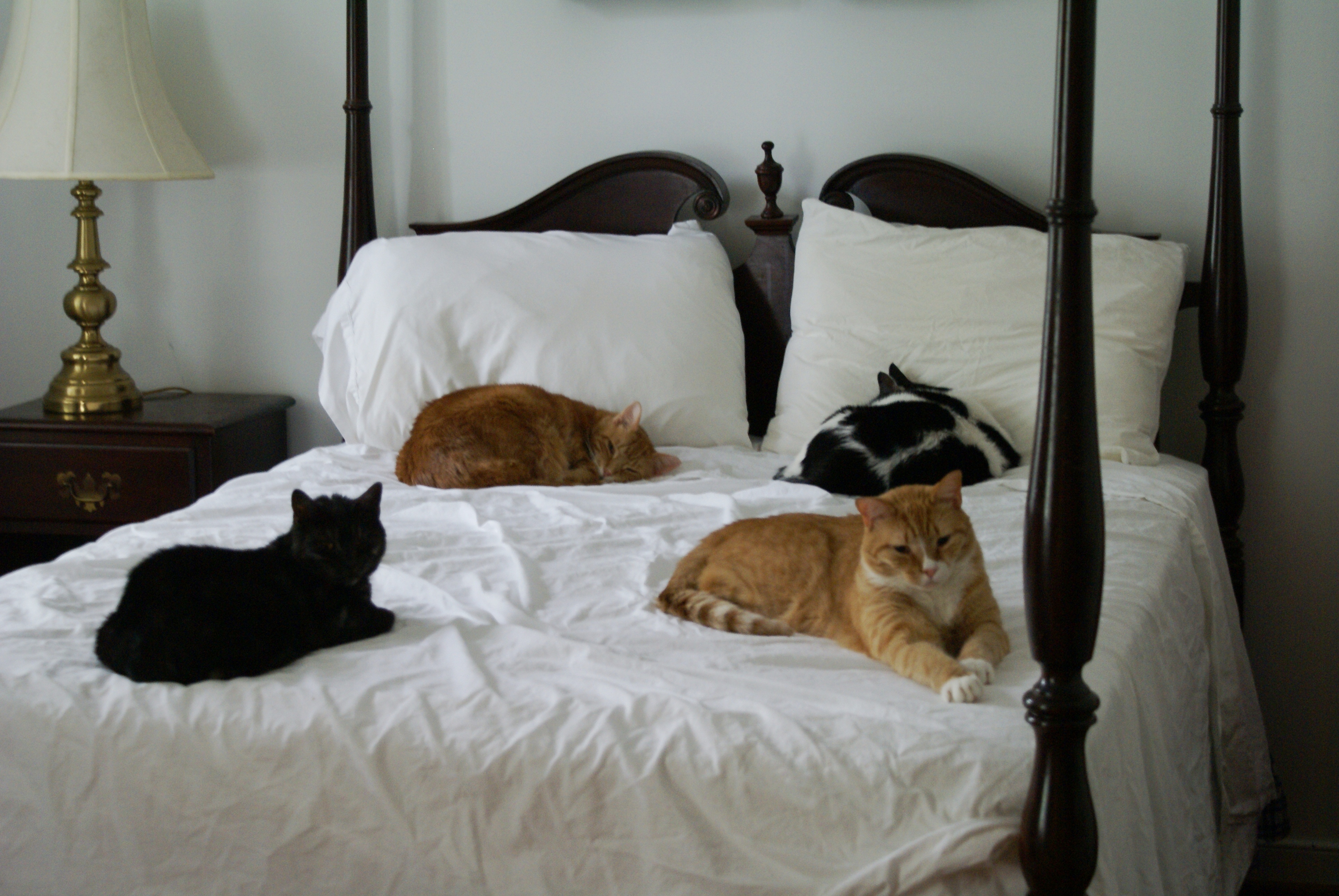Holdin' down the bed