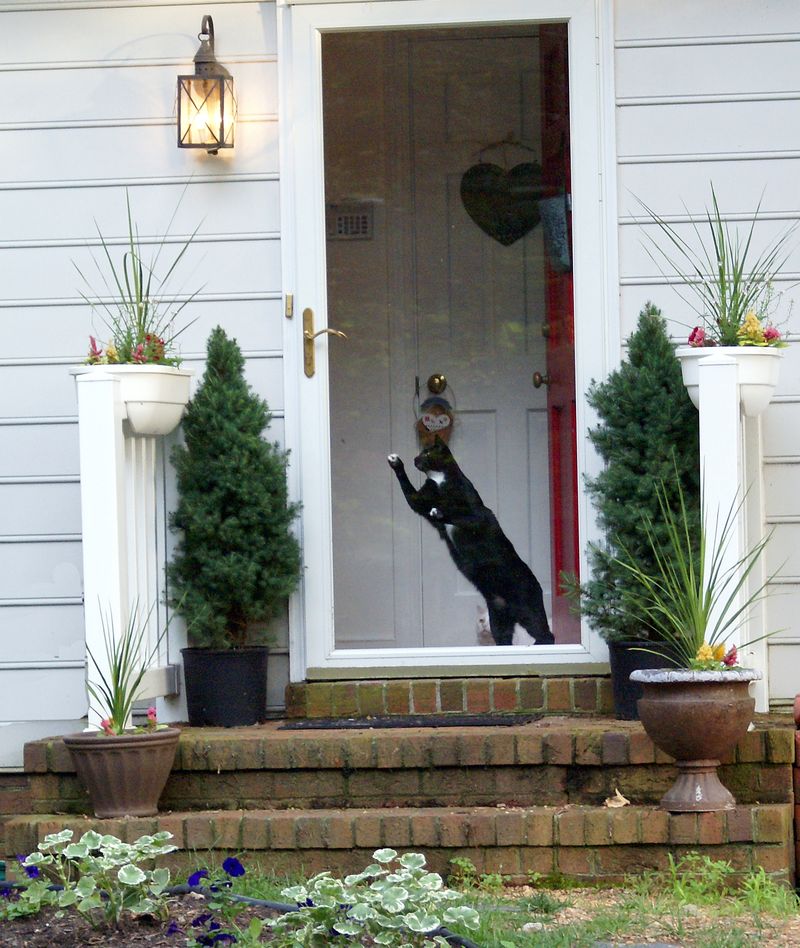 Freddie in Action_cropped Freddie in Action_cropped