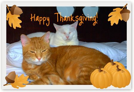 Happy Thanksgiving Happy Thanksgiving