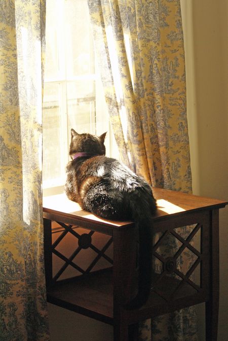 Henry enjoyin' a sunbeam Henry enjoyin' a sunbeam