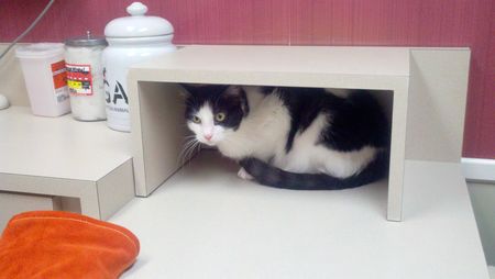 Special hidey hole