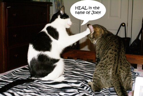 Heal in the name of Joey copy