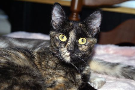 Miss Holly Berry