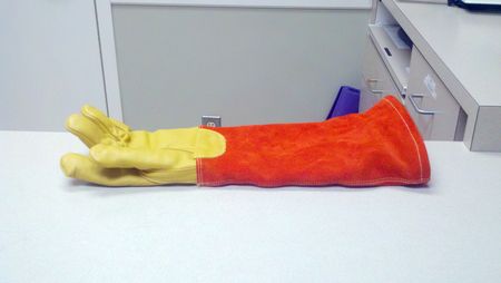 The torture instrument