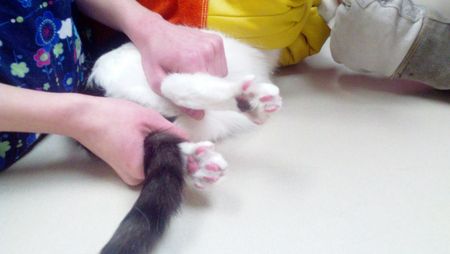Joey Feet