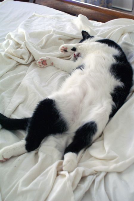 Nap Time