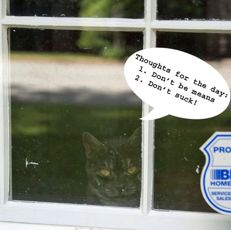 Sweet Henry's thoughts for the day copy Sweet Henry's thoughts for the day copy