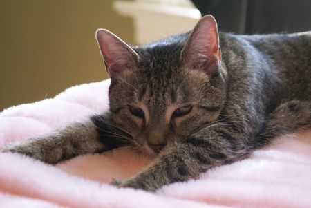 Mazie Grace relaxes