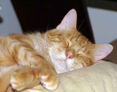 Sleepy Girl