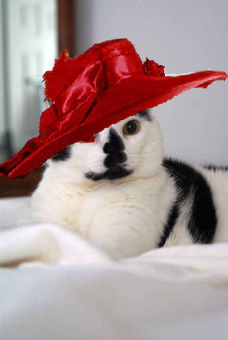 Queen Elsie with Red Hat copy