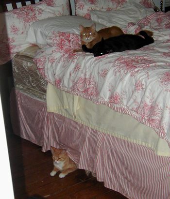 What_are_they_doin What_are_they_doin