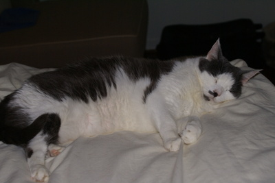 Sleepy_time Sleepy_time