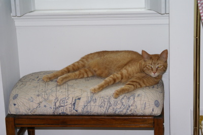 Georgie_chillin Georgie_chillin