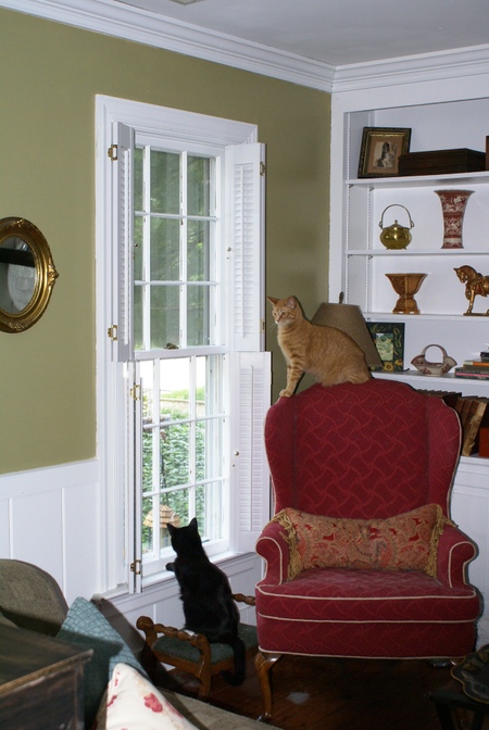Georgie_and_elizabeth_taylordouble_