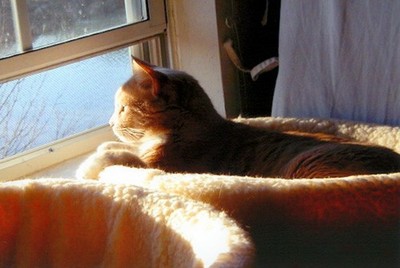 Ricky_watchin_the_world_go_by_3 Ricky_watchin_the_world_go_by_3