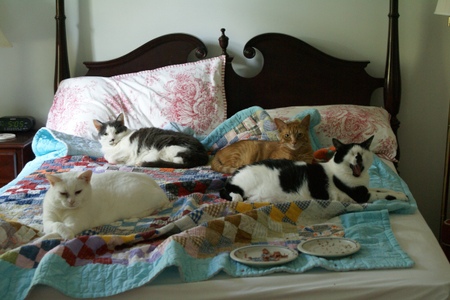 Where_will_mommy_sleep