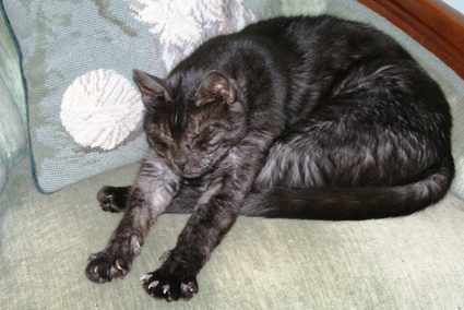 Henry_is_relaxin_2_2 Henry_is_relaxin_2_2