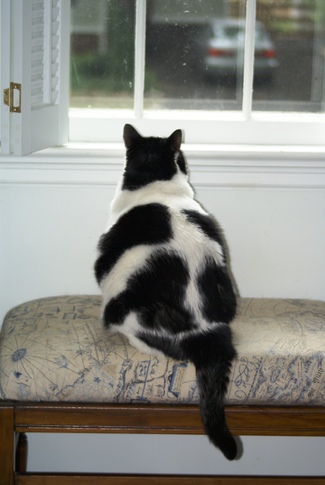 Waiting_on_big_sister