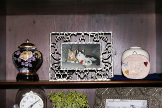 Lucy_and_ricky_together_small