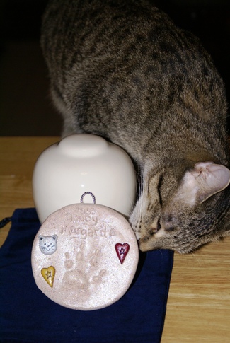 Mazie_givin_lucy_a_kiss Mazie_givin_lucy_a_kiss