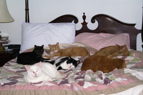 Nap_time